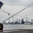 Record year for port of Antwerp