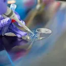 Sperm Donor in Europe Found to Pass Rare Cancer-Causing Mutation to 67 Children
