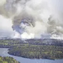 Thousands Flee as Wildfires in Canada Force Evacuations and State of Emergency Declared