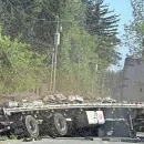 Truck Overturns in Western US, Releasing 250 Million Bees: Area Warned to Avoid