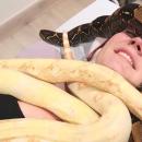 (Un) exciting trend: massage by strangling snakes
