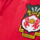 Welsh Interpreter for Ryan Reynolds' Wrexham to Receive Top Honour