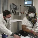 Woman in the US Recovers Health After Pig Organ Transplant