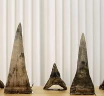 20 years for smuggling rhino horns
