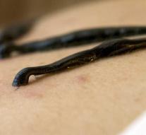 5000 leeches along in aircraft: 'For own use'