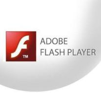 Adobe Flash leak tight
