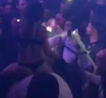 Animal abuse: scantily clad woman on horse in club
