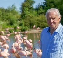 Attenborough (89) back on TV