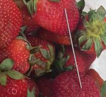 Australia captivated by needles in strawberries