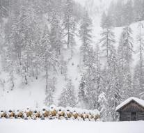Austria warns extreme avalanche danger