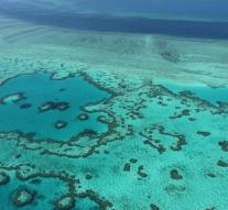 Bagger taboo on Australian coral reefs