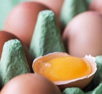 'Belgian eggs safe for consumption'