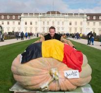 Belgian growing the biggest pumpkin ever: 1190 kg