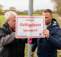 Bird flu in poultry Lower Saxony