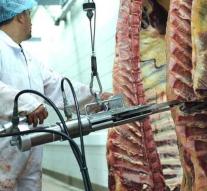 Boss after new meat scandal: nothing wrong