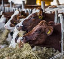 Brabant agrees with measures for livestock farmers
