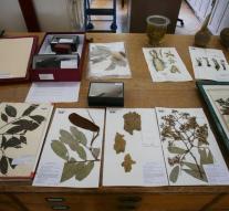 British biologists spend flora map