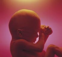 British researcher can manipulate embryos