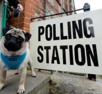 British vote with their dog