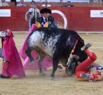 Bullfighter slain by bull