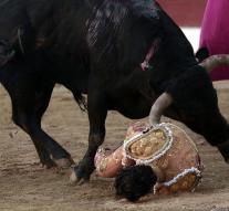 Bullied bullfighter bullied