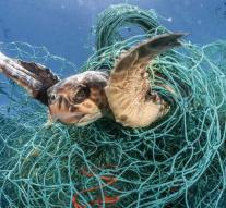 Call to label fishing nets