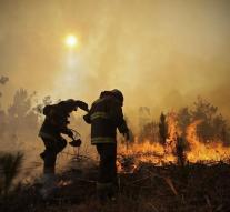 Chile wildfires death toll rises