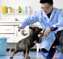 China clones police dog