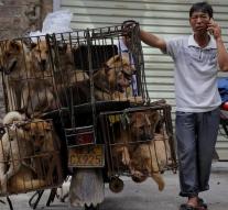 Chinese people do well located on dog meat