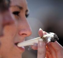 Colombia legalizes 'medical marijuana'