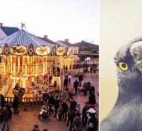 Crows collect waste in amusement park