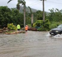 Cyclone is heading for Tonga: coconuts as a precaution from the trees