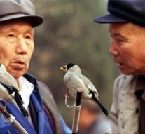 Dancing elderly rationed in Beijing