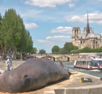 'Dead Whale Spilled in Paris'
