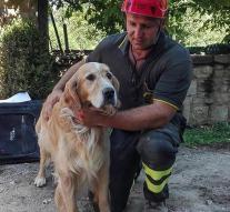 Dog rescued from rubble in Italy