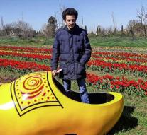 Dutch tulip flourishes in Bella Italia