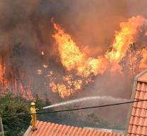 European assistance against the Portuguese forest fires