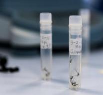 European money for researchers zikavirus