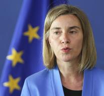 European Union Security Strategy unfolds