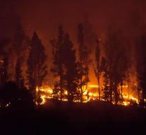 Fire La Palma: 3,600 hectares of forest road