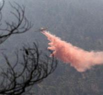 Firefighters killed in forest fire Cyprus