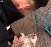 Firefighters resuscitate puppies and kittens after a fire