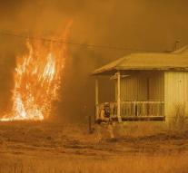 Forest fire destroys nature California national park