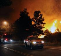 Forest fires Greece adhere to