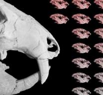 Fossil of 184 million year old mammalian discovered