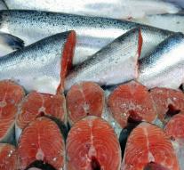 Genetically engineered salmon may in USA