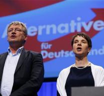 German AfD to talk with Muslims