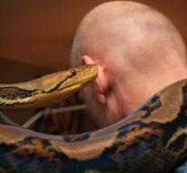 German has fifty pythons in house