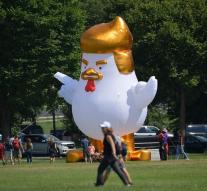 Giant Trump Chicken in Garden at White House
