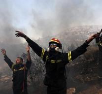 Greek firefighters are struggling with forest fires